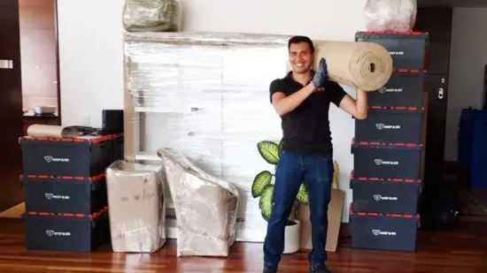 Cajas Plásticas vs. Cajas de Cartón